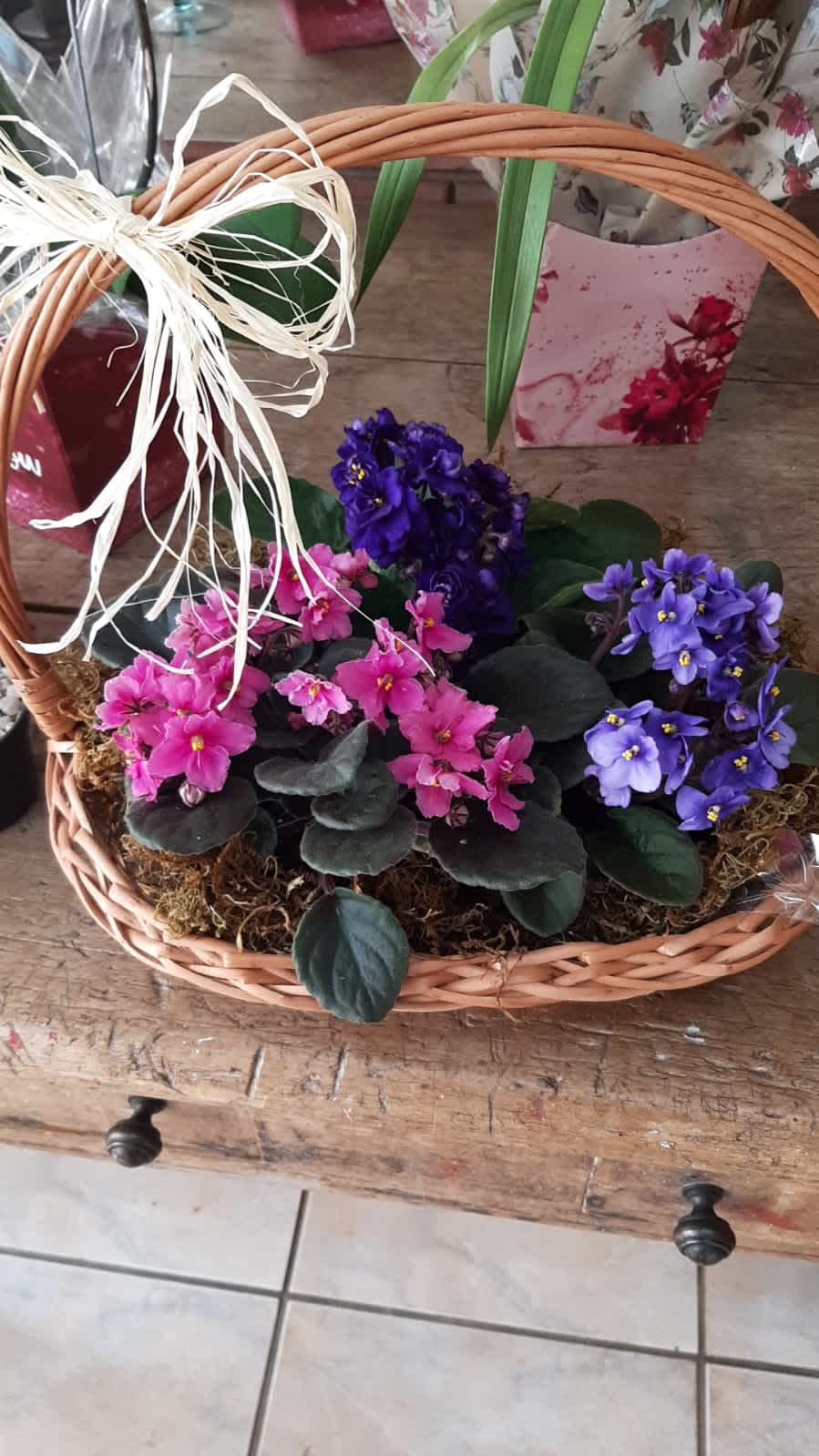 Floricultura em São João Del Rei flores online Isabela Flores