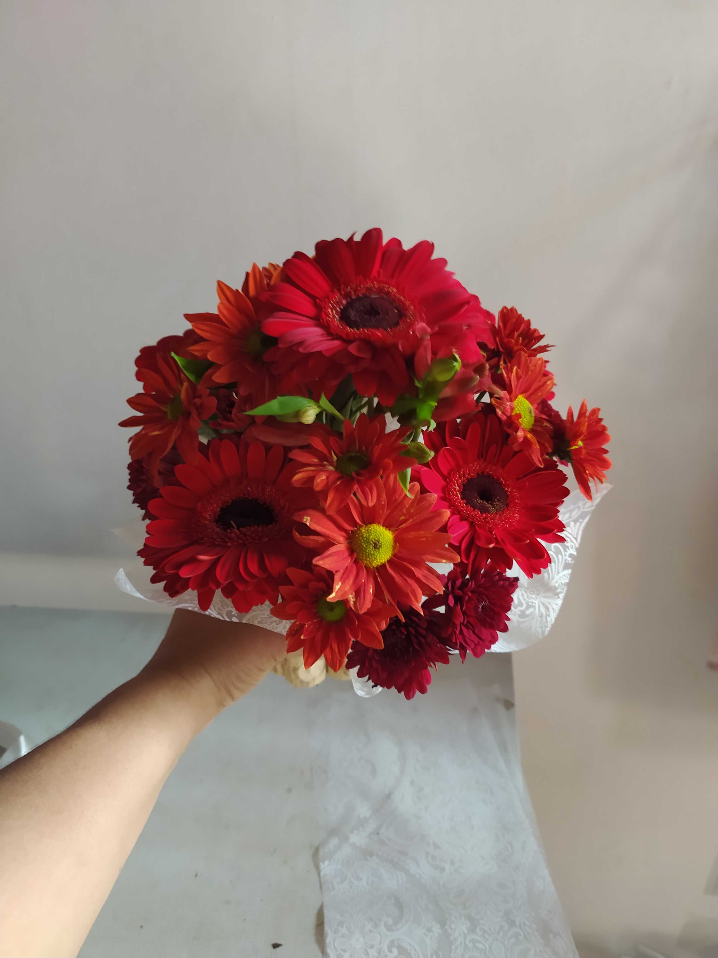 Floricultura em Niterói flores online Isabela Flores